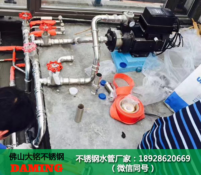  佛山SUS304草莓视频污在线观看免费卡壓彎頭dn32